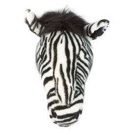 Kop zebra Daniel