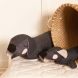 Zachte knuffel - lazy puppy antraciet