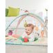 Activiteiten babygym - Farmstand