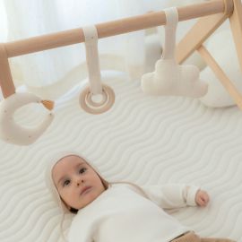 Growing Green - Baby gym speeltjes - Sky