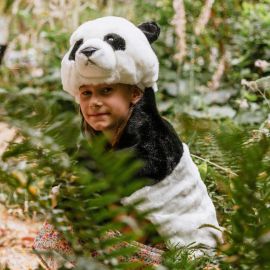 Vermomming panda