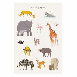Poster - Animals of Africa