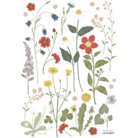 Stickerblad A3 - Wildflowers, buttercup & dandelion