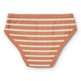 Set van 3 Nanette onderbroeken - Y & D Stripe: Tuscany rose multi mix