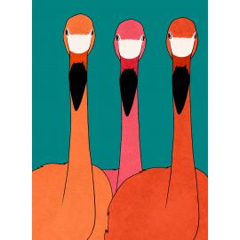 Klassieke puzzel - Flamingo Trio - 1000 stukjes