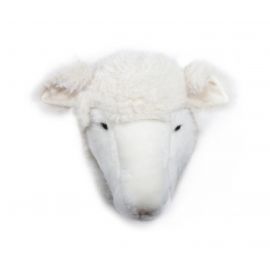 Kop schaap - Harry