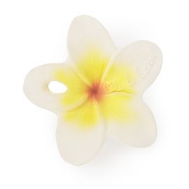 Chewy-to-Go bijtspeeltje - Hawaii the Flower