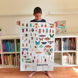 Educatieve poster met herpositioneerbare stickers - Insects
