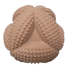 Isa Grijpbal - Melon