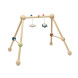 Plan Toys - Babygym - Orchard Collection