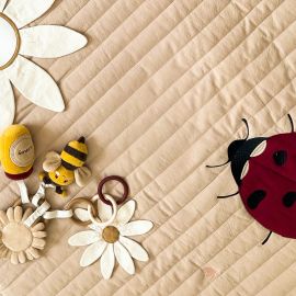 Speel algemene lieveheersbeestje - Ladybug