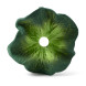 Mini Dekter en Dentition Toy - Kendall the Kale Cabbage