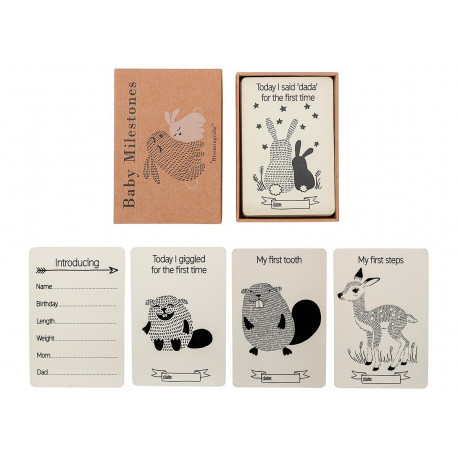 Stijlvolle milestones baby cards Stijlvolle milestones baby cards