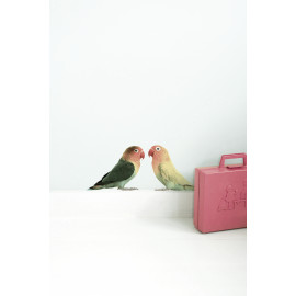 kleurrijke 'Lovebirds' muursticker