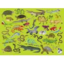 Super coole puzzel Reptielen en Amfibieën - 300 stukjes